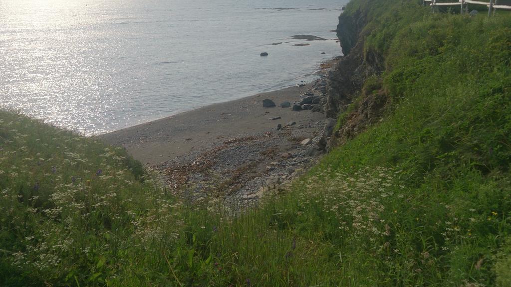 Les Cabines Sur Mer Cap-des-Rosiers Eksteriør billede
