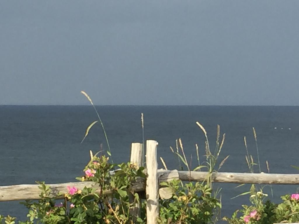 Les Cabines Sur Mer Cap-des-Rosiers Eksteriør billede